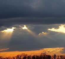 Eyes in the Sky by Terri~Lynn Bealle