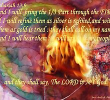 1/3 Part Will be Brought Through! The FIRE! by RealPainter