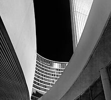 Nice Curves by Steve Silverman