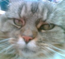 The look that speaks volumes by neon-gobi