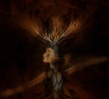 Centaurea cyanus by Yndra