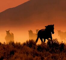 Nevada's High Desert Country by Jeanne Nations