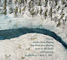 Cold Memory (Inspired by a dream of flight) by RoyAllen Hunt