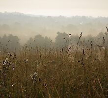 set aside - constitution hill by uncleblack