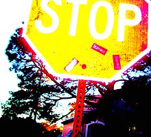 My Crazy Stop Sign by reneeasaurus