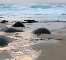 Obstacles by Julie Bennett Trigg