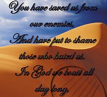 Psalm 44: 7 & 8 by Susan van Zyl