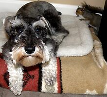 Is There Something in my Bed? by Kay Kempton Raade