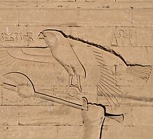 Eagle Hieroglyph by rhallam