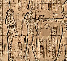 Edfu Temple hieroglyphs 2 by rhallam