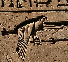 Bird hieroglyph 2 by rhallam