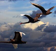 Moving On by byronbackyard