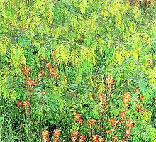 Mesquite And Paintbrushes by catherinemhowl
