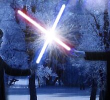 Saber fight! by MetaKrissi