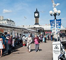 Seagull's Landing at Noon on Brighton Pier: East Sussex, UK. by DonDavisUK