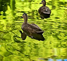 It's a green world by Renee Hubbard Fine Art Photography