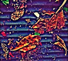 Leaves in the Grate by oddoutlet