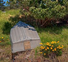 Tinny at Waiheke Beach by Kathryn Wheeler