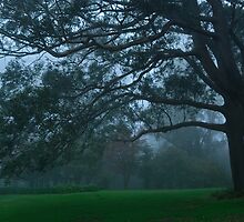 Mystery by Anton Gorlin