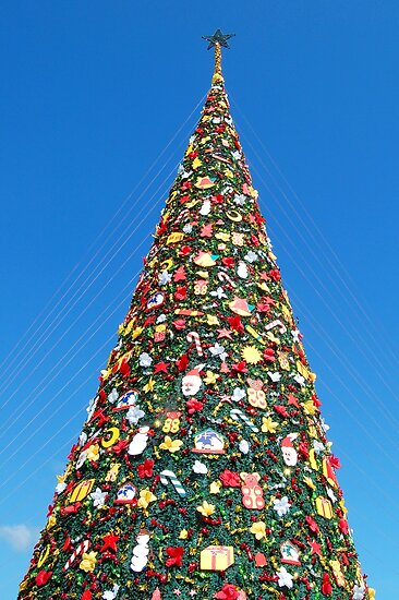 quot giant christmas tree in palawan philippines quot by quot giant christmas tree in palawan philippines quot by