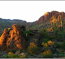 Way Out West by Terry Temple
