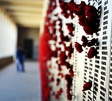 Wall of Honour, Australian War Memorial. by lu138