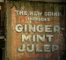 Ginger-Mint Julep by artisandelimage