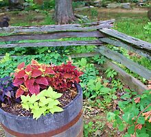 BRIGHTEN THE CORNER WHERE YOU ARE! by Pauline Evans