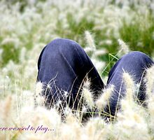 while i wait. by elizabethrose05