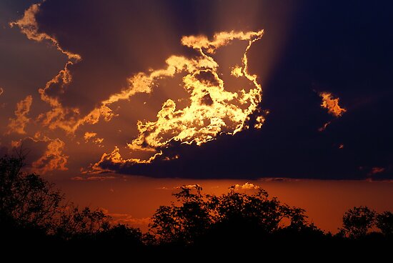 South African Sunset