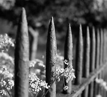 NATURE WILL PREVAIL by Redtempa