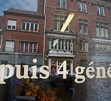 North reflexion by gexgessien