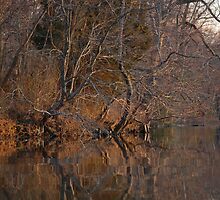 Sunset on the River Bank - West River, MD by Aaron Minnick
