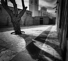 A Tree Grows in Bastakiya by springwatcher