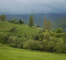 Lonely house in mountains, Romania, Transylvania Region by Antanas