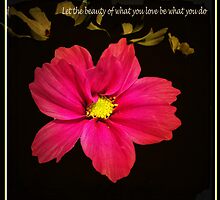 Let the beauty of what you love be what you do. - Rumi by Nick Kenrick Photography