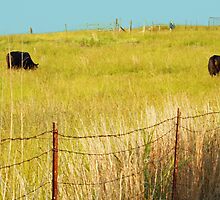 Knee Deep in Grass by Susan Blevins