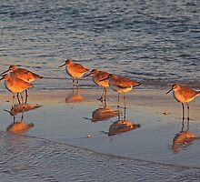 Pensacola Beach during Happier times.... by Maurie Alderson