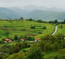 Village on the road, Romania by Antanas
