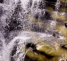 Untitled by Carl Gaynor