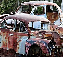 Going Cheap - Hill Ends NSW Australia by Bev Woodman