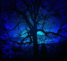 ~blue moon~ by Terri~Lynn Bealle