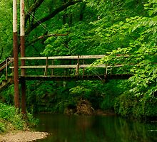 Canyon Camp Bridge by eaglewatcher4