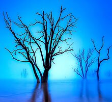 Foggy Dawn at Lake Eildon #1 by Jason Green