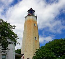 Sandy Hook Light by Lanis Rossi
