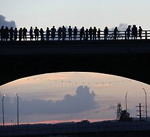 Congress Avenue bat bridge Austin TX by Alice Kahn