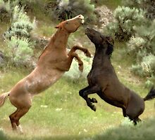 Who's The Boss by Jeanne Nations