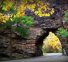 Backbone's Eye by A Different Eye Photography