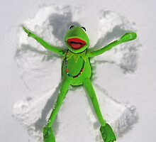 Kermit Snow Angel (1st place Boston Globe) by David Tiller