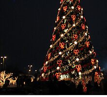 Christmas Holiday Card 3398V - LIDO Tree at Night by FirstTree